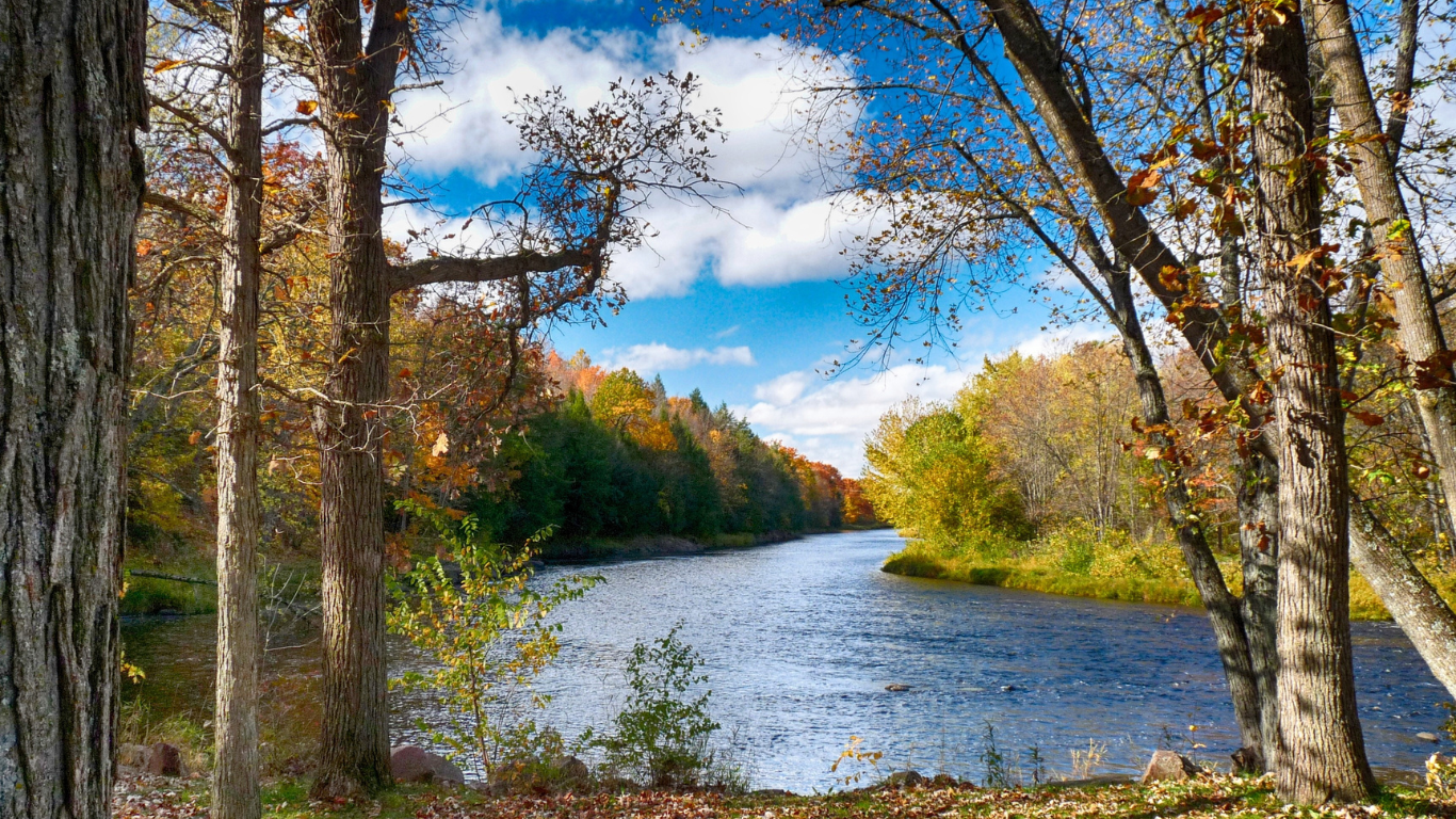 Beautiful river flowing between lush green trees